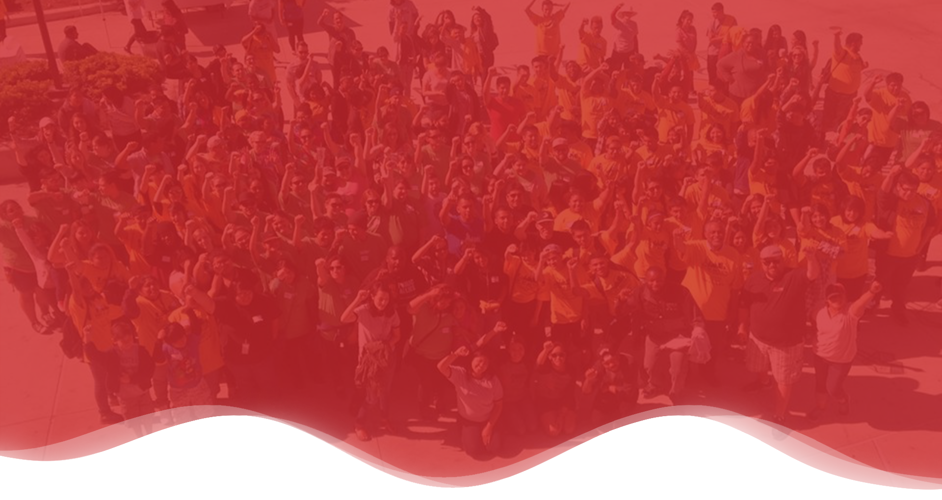 Homepage red banner